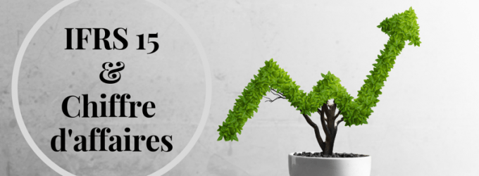 Qu’est-ce que la norme IFRS 15 ? 2/2